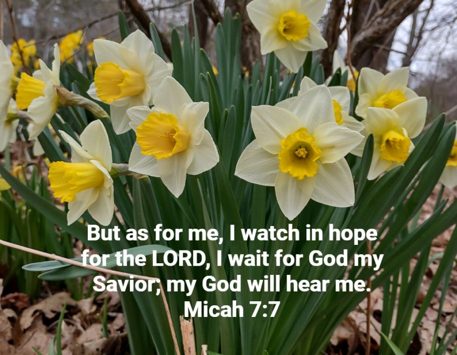 I watch in hope